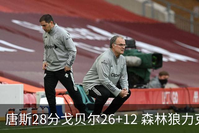 唐斯28分戈贝尔26+12 森林狼力克黄蜂4连胜